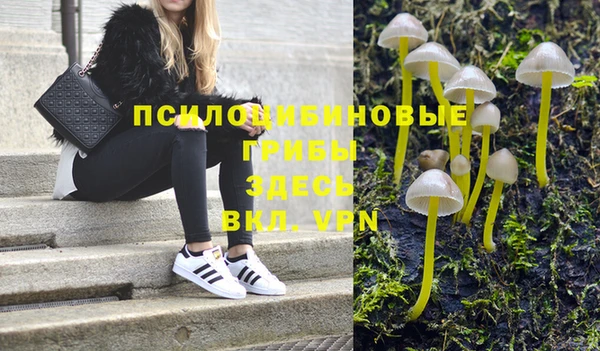 стафф Богородицк